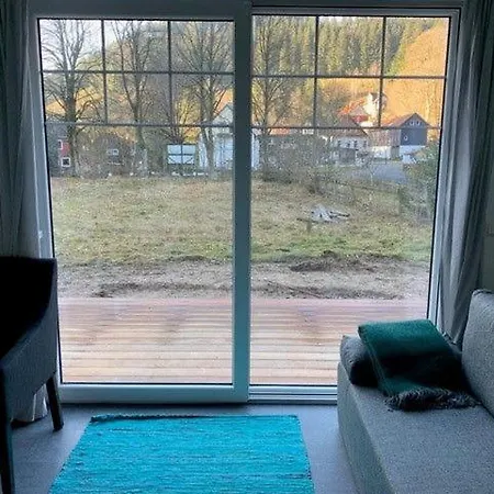 Дом отдыха Harz Tiny